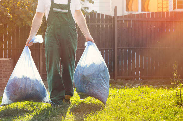 Best Office Junk Removal  in Terrace Heights, WA